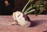 Celery Root Odilon Redon